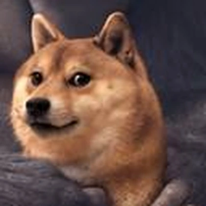 Doge, the very good boy.