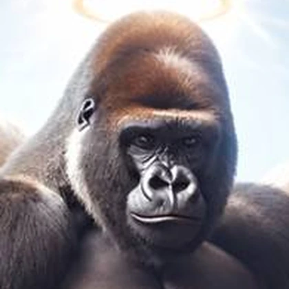 Harambe, the guardian.